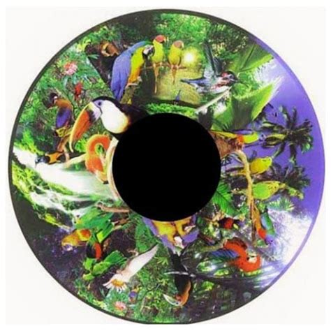 Projector Effects Wheel Tropical Birds Multimedia Products Audio