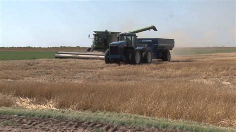 Kansas Wheat Harvest 2013 Youtube
