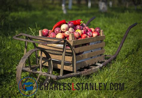 How To Upset The Apple Cart Living Life Successfully