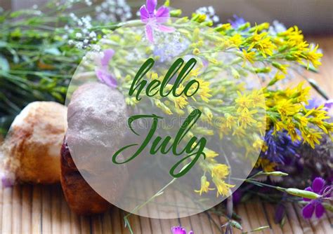 Hello July Greeting On A Summer Flowers Bouquet And Boletus Edulis