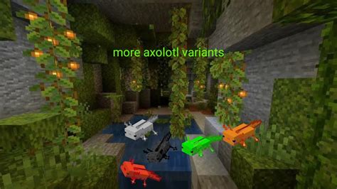 New Colors Of Axolotl More Axolotl Variants In Minecraft Youtube