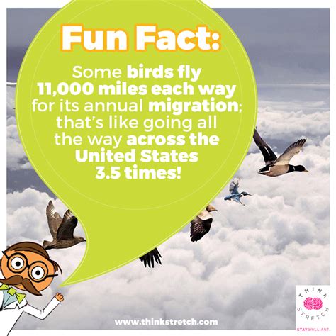 Pin By Thinkstretch On Fact Friday Fun Facts United Way The Unit