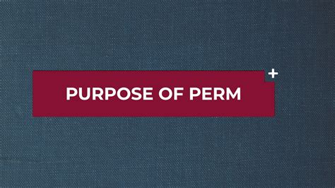 At the time of the interview employee needs to confirm that job offer. What Exactly is the Purpose of PERM in the Green Card Process? | Berardi Immigration Law