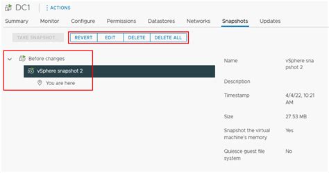 VMware Snapshot Best Practices Explained