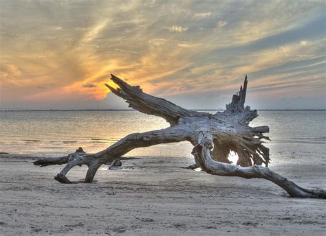 Sunset On Driftwood Beach Photograph By Sander Ellis Fine Art America