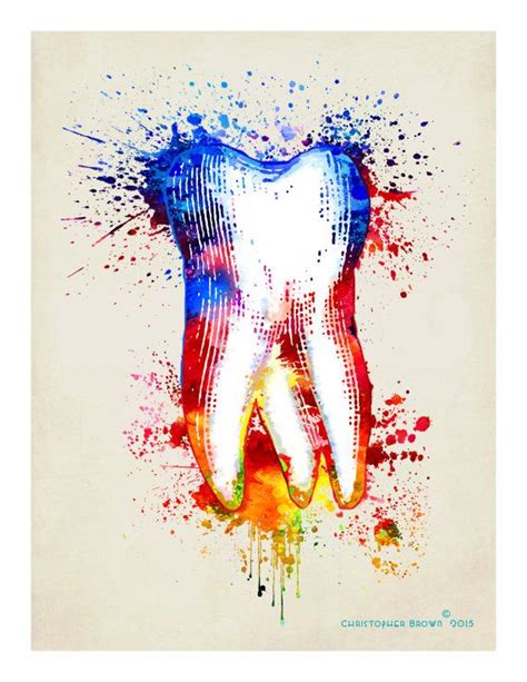 Fine Art Print Watercolor Tooth 85x11 Dental By Artofthepage Tooth