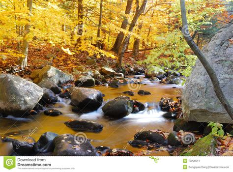 Autumn Creek With Trees And Rocks Stock Image Image 12209511