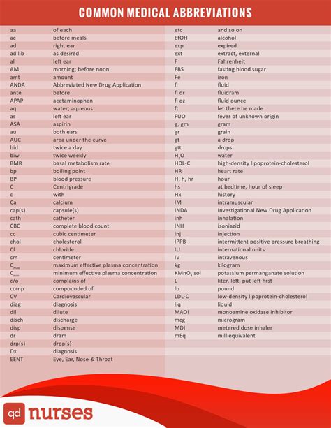 Common Medical Abbreviations Qd Nurses