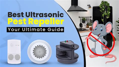 Best Ultrasonic Pest Repellers Review 2024 Electronic Squirrel