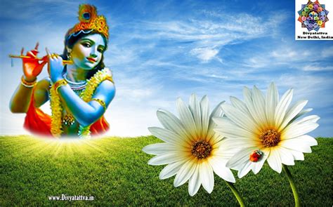 T Ng H P Krishna Background Images P Nh T
