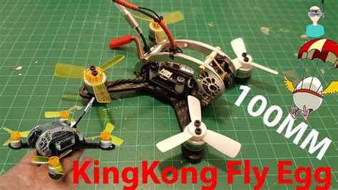 Kingkong Fly Egg 100 100mm Racing Drone Review And Test Flight Youtube
