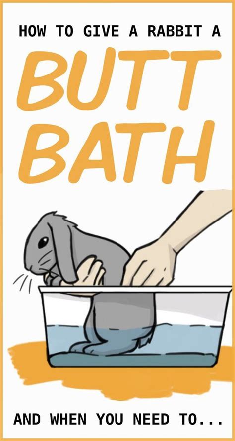 How To Give Your Rabbit A Bath And What Not To Do Pet Bunny Rabbits
