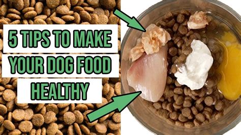 How To Make Dry Dog Food Healthier 5 Tips Youtube