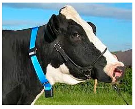 Agriculture Free Full Text Detecting Heat Stress In Dairy Cattle