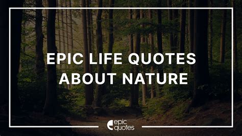 Epic Life Quotes About Nature