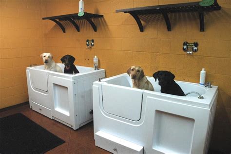 Incredible Ideas For Making Your Home A Pet Heaven Dog Wash Dog