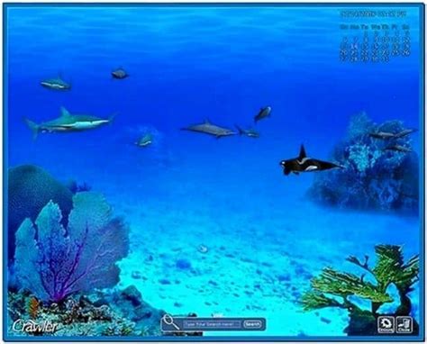 Sachs Marine Aquarium Screensaver V2 0 Tecbinger