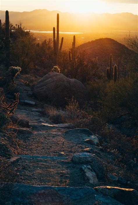 Saguaro National Park Arizona Hiking The Hugh Norris Trail At Sunset