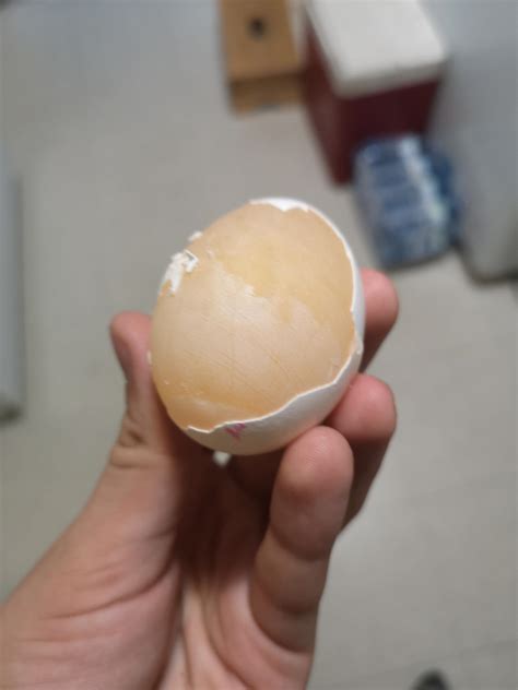I Managed To Peel A Raw Egg Rmildlyinteresting