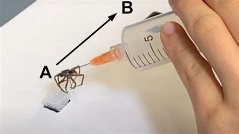 necrobiotics researchers are turning dead spiders legs into robotic grippers