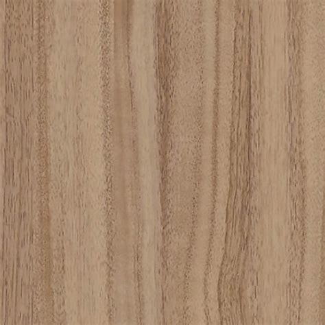 Light Walnut Wood Texture