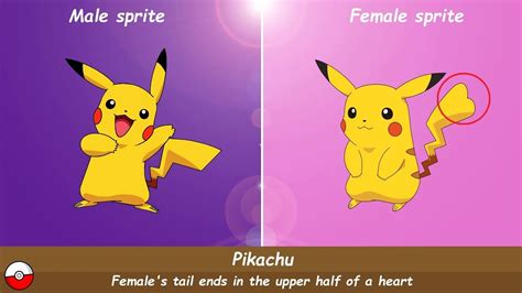 Gender Differences In Pokémon Pikachu Rattata Butterfree Etc Youtube