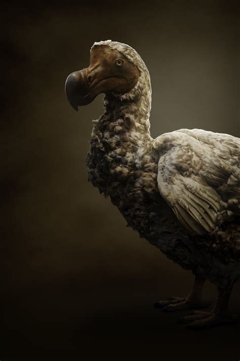 How A Billion Dollar Startup Plans To Bring Back The Dodo