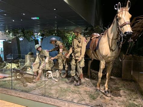 Airborne Museum 2019 Sainte Mere Eglise Everything You Need To Know