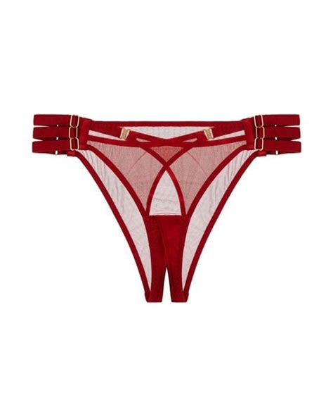 Bordelle 10 Year Exclusive Ouvert Peep Brief 15 Pairs Of Cute And