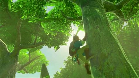 Miyamoto Is A Big Fan Of Tree Climbing In The Legend Of Zelda Breath