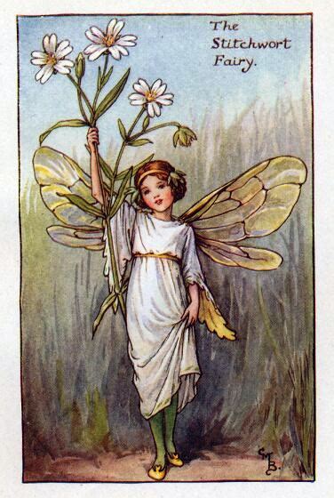 Stitchwort Flower Fairy Vintage Print Cicely Mary Barker The Flower