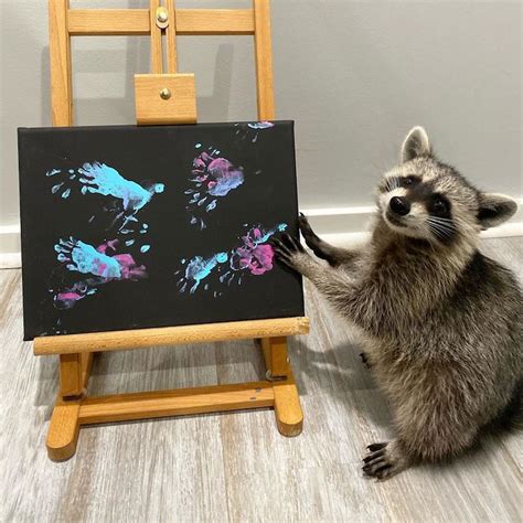 These Raccoons Are Creating Abstract Masterpiece Paintings Using Their