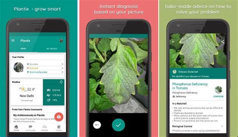To install the plant identification: Top 5 Best plant identification app (2019)
