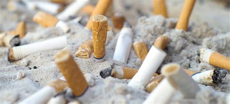 Toxicity Lingers After Tobacco Smoke Clears Uc Research Program