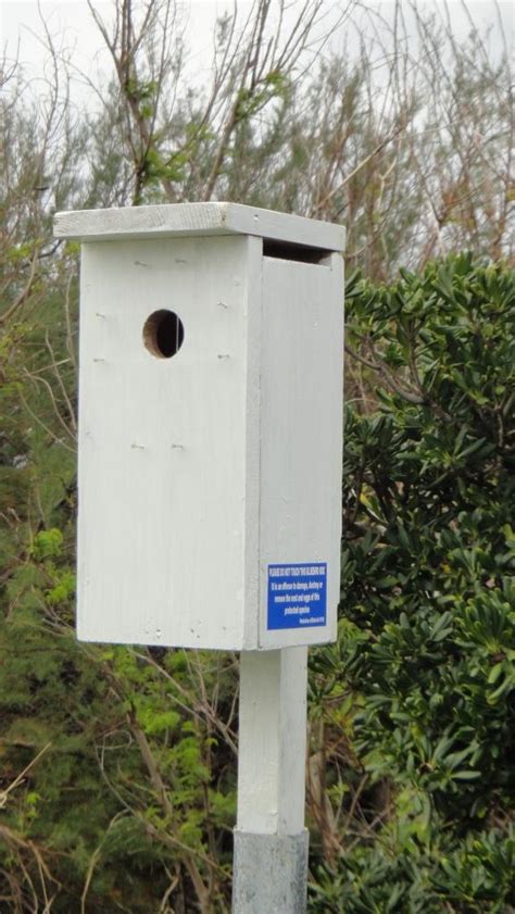 Bluebird Boxes — The Department Of Environment And Natural Resources