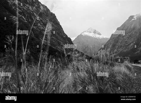 Snowy Mountains On The Way To Milford Sound New Zealand Stock Photo