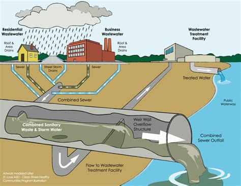 Superstorm Sandys Sewage Legacy • The National Wildlife Federation