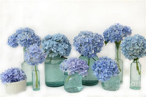 Blue Hydrangeas In Aqua Blue Mason Jars Shabby Chic