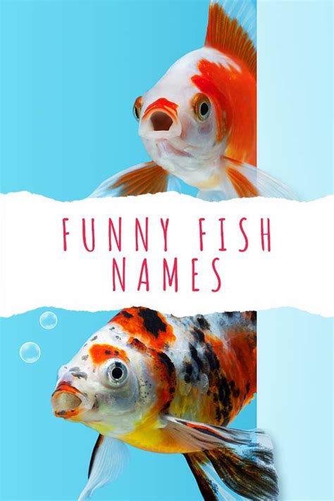 Funny Fish Names Hilarious Ideas For Naming Your Fish Fishing