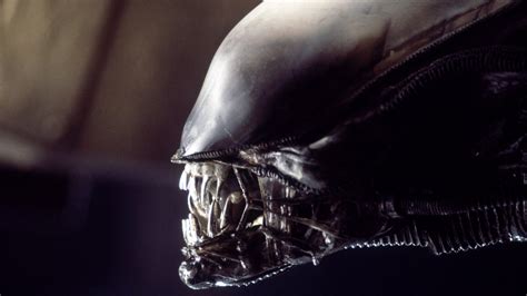 ‘alien Every Stage In The Xenomorphs Gruesome Life Cycle Indiewire