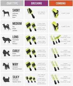 At parfait mischen goldendoodles, we are dedicated to client satisfaction and most importantly to puppies. -Repinned- Andis blades. Hair length chart. | Dog grooming ...