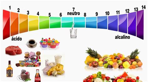 Los Seis Principales Alimentos Alcalinos Para Comer Todos Los Días Y