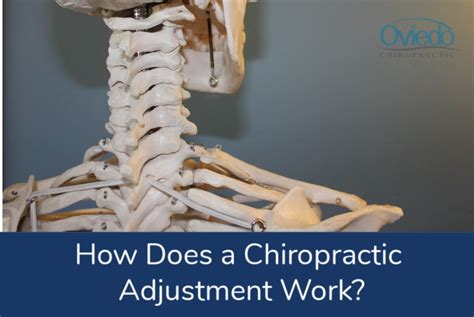 how does a chiropractic adjustment work oviedo chiropractic