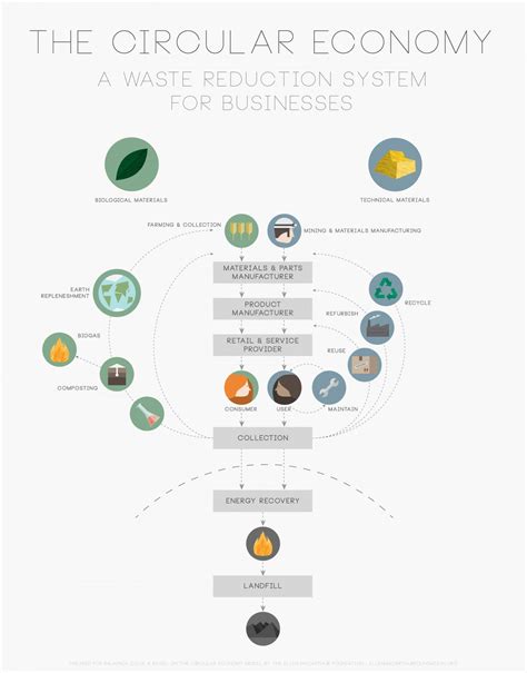 An Introduction To The Circular Economy Waste Reduction Model