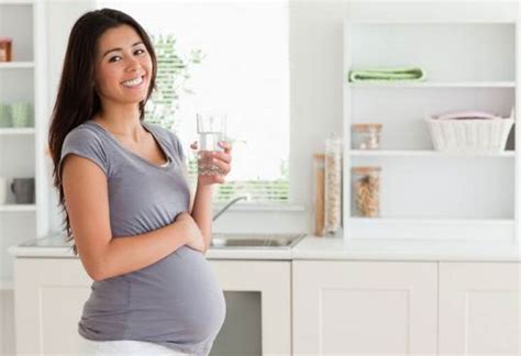 Drinks Ideal For Pregnant Women Healthdigezt Com