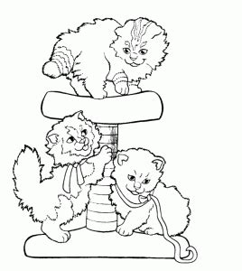 Coloriages de Chats  Coloriages enfants Biboon