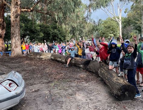 Sandringham Primary School Yr4 Camp Blog