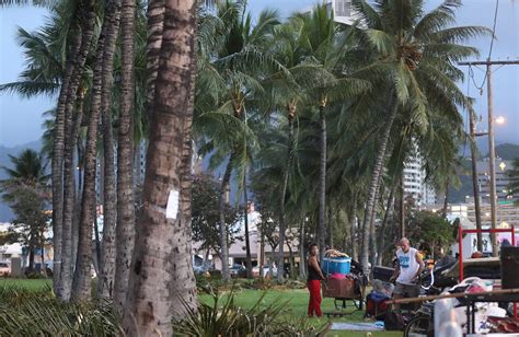 Denby Fawcett Myths About Homelessness In Hawaii Honolulu Civil Beat