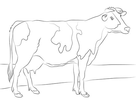 Free Cow Coloring Pages Printable