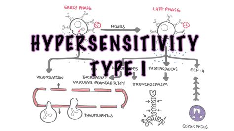 Hypersensitivity Type I Reaction Immediate Or Allergic Reaction